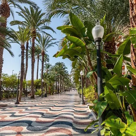 1 Bedroom And Modern Ideal For The And Centre Alicante